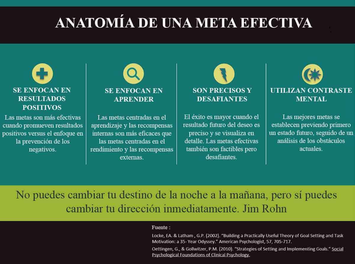 metas anatonomia