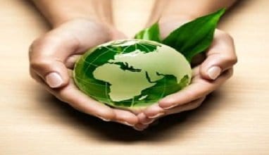 Las 7 Dimensiones del bienestar humano: Bienestar Medio Ambiente