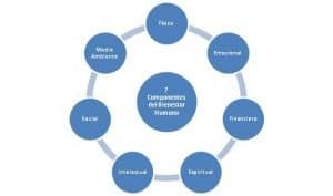 7 dimensiones del bienestar humano