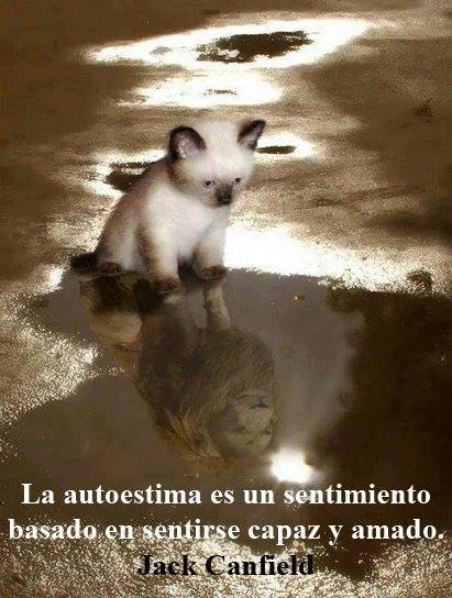 Imagenes Con Frases – Autoestima