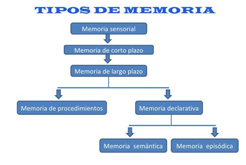 Pirámide de Maslow: jerarquía de necesidades