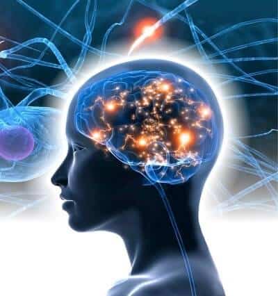 Tipos de Memoria. ¿Cómo Funciona el Cerebro Humano con los Recuerdos?