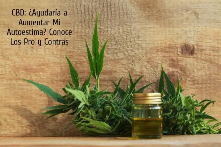 CBD: ¿ayudaría a aumentar mi autoestima? Conoce los pro y contras