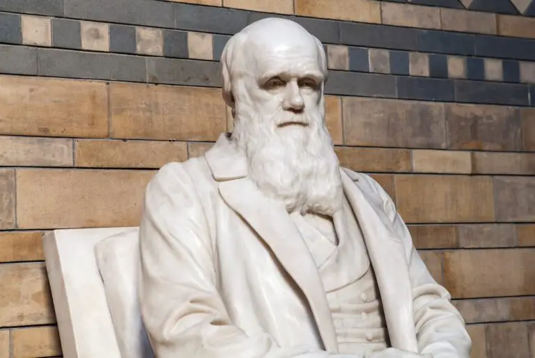 ¿Qué Es La Teoría De La Evolución De Darwin?